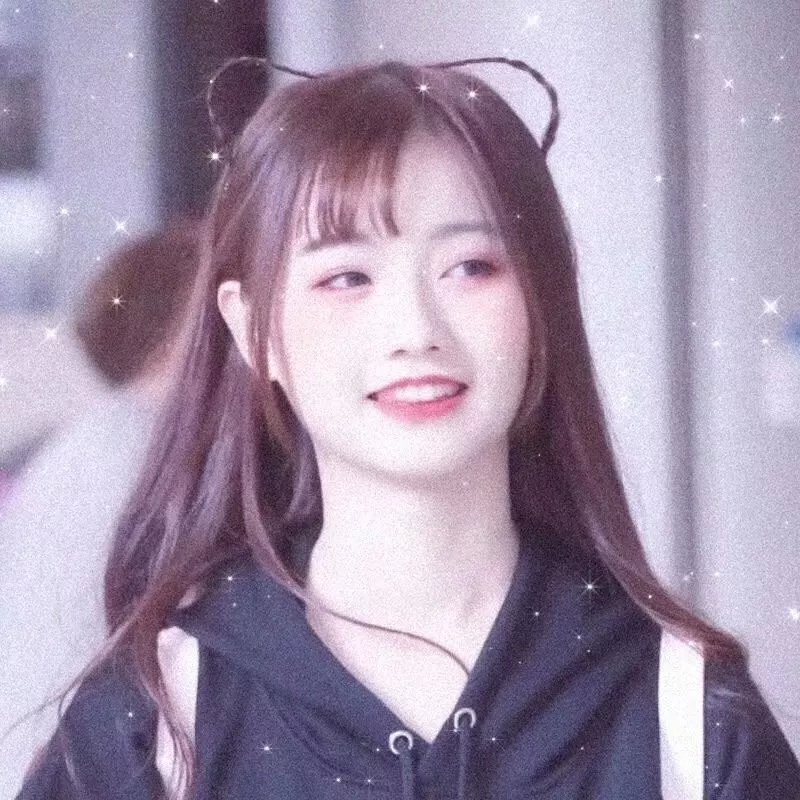 奶酪陷阱2018